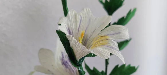 Pridružite se radionici kinča povodom blagdana svetoga Vida