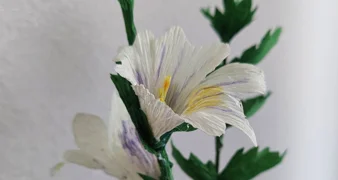 Pridružite se radionici kinča povodom blagdana svetoga Vida