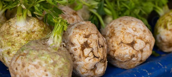 &bdquo;Gdo na srcu ima feler, navek mora jesti celer&rdquo;