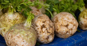 „Gdo na srcu ima feler, navek mora jesti celer”