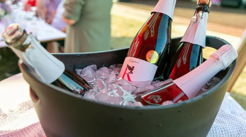 Vinski park ponovno okupio ljubitelje vina i dobre zabave u Sračincu