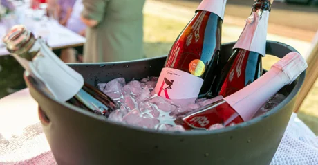 Vinski park ponovno okupio ljubitelje vina i dobre zabave u Sračincu