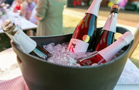 Vinski park ponovno okupio ljubitelje vina i dobre zabave u Sračincu