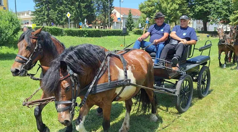 FOTO Konji i kočije na Starome gradu  privlačili pažnju brojnih građana