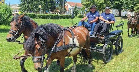 FOTO Konji i kočije na Starome gradu  privlačili pažnju brojnih građana