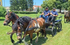 FOTO Konji i kočije na Starome gradu  privlačili pažnju brojnih građana