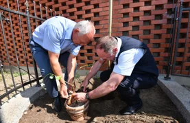 Najstarija vinova loza na svijetu posađena u Međimurju