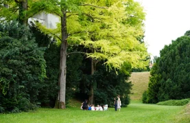 Izabrana najdojmljivija stabla grada Varaždina i Varaždinske županije