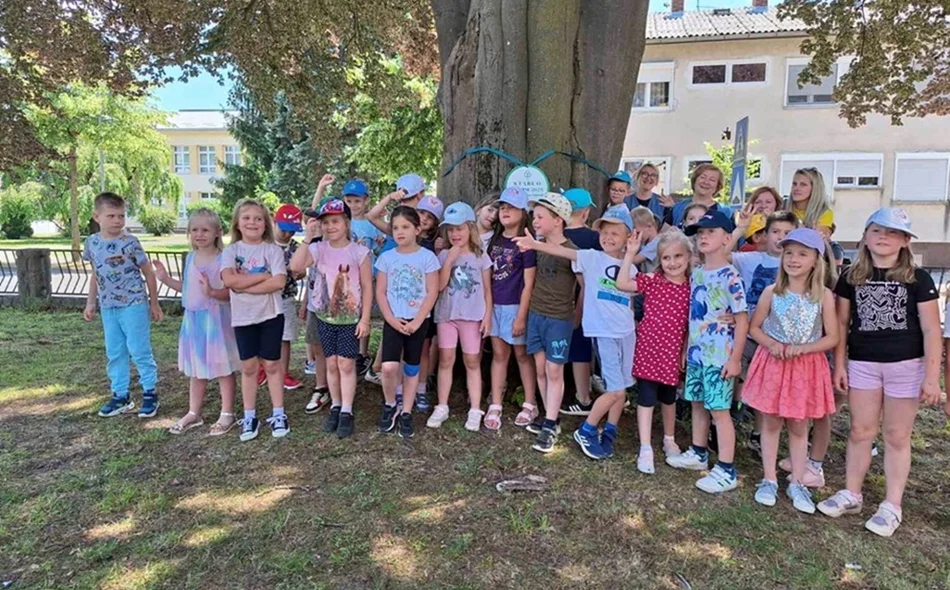 Crvenolisna bukva priča stoljetnu novomarofsku povijest