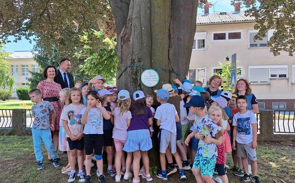 Crvenolisna bukva priča stoljetnu novomarofsku povijest