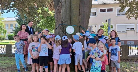 Crvenolisna bukva priča stoljetnu novomarofsku povijest