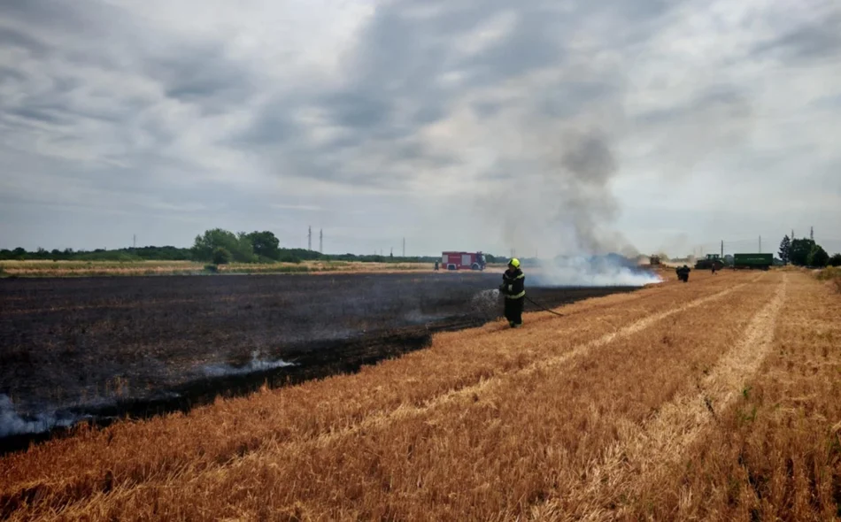 Požar na kombajnu proširio se na šest hektara strništa