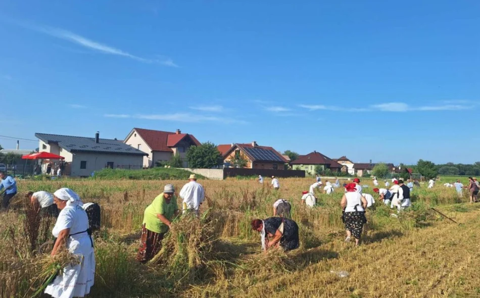 Na polju Gaj ponovno će se pjevati, kositi i slaviti Žetvene svečanosti