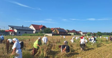 Na polju Gaj ponovno će se pjevati, kositi i slaviti Žetvene svečanosti
