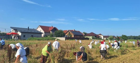 Na polju Gaj ponovno će se pjevati, kositi i slaviti Žetvene svečanosti