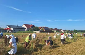 Na polju Gaj ponovno će se pjevati, kositi i slaviti Žetvene svečanosti