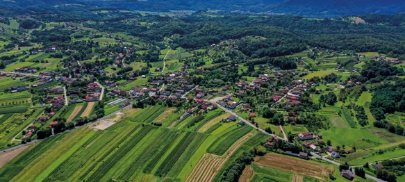 Uključite se u izbor istaknutih pojedinaca i organizacija