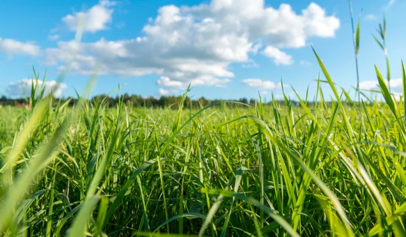 Vikend idealan za uživanje na otvorenom