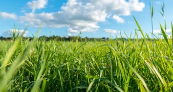 Općina Bednja: &quot;Održavajte svoje površine!&quot;