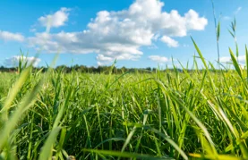 Vikend idealan za uživanje na otvorenom