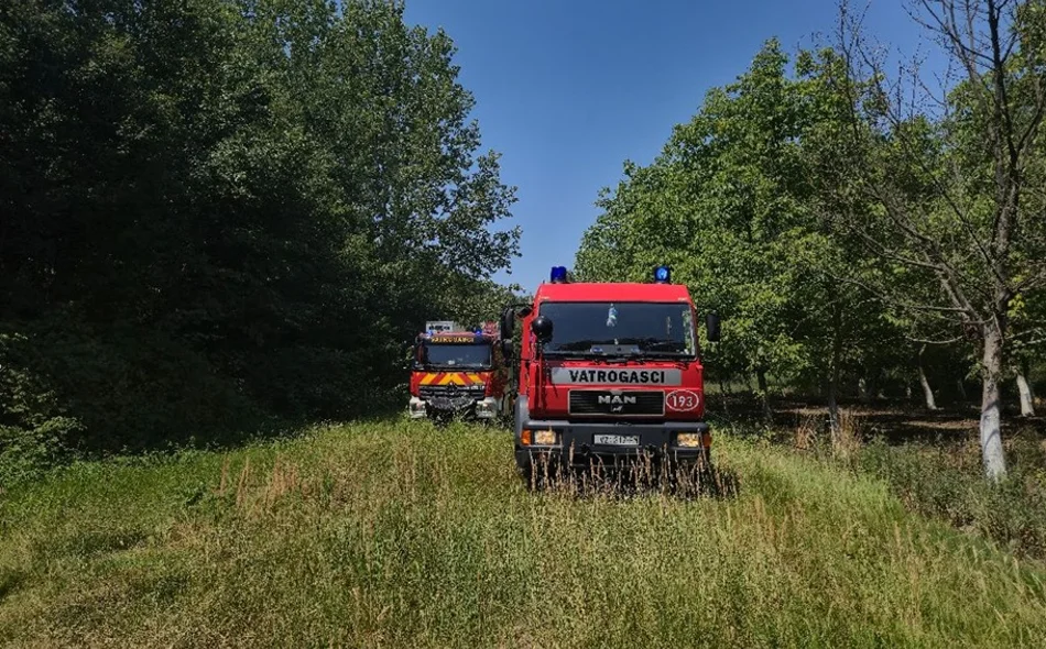 U prevrtanju traktora u šumi poginuo 41-godišnjak