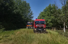 U prevrtanju traktora u šumi poginuo 41-godišnjak