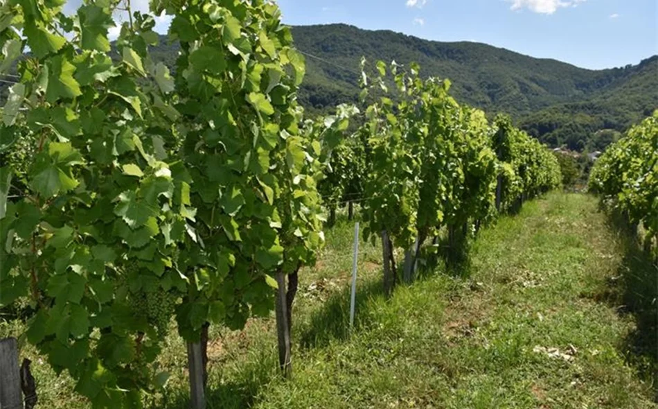 Kaznionici Lepoglava medalje za vino i med