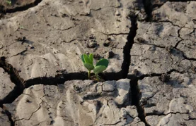 Proglašena elementarna nepogoda za područja dva grada i devet općina