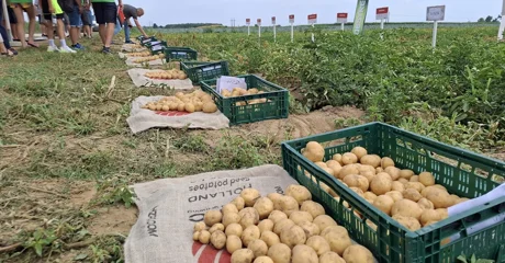 Suša ga je izmorila, neće ga biti dovoljno, ali cijena ne bi smjela divljati
