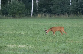 Dogovoreno produljenje zakupa zajedničkih lovišta na deset godina