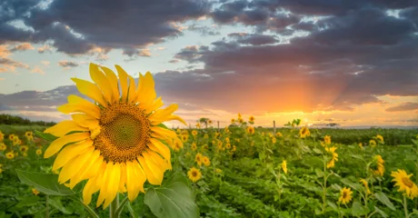 Napokon tjedan bez kišnih iznenađenja, temperature rastu do 30 stupnjeva