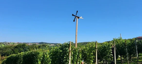 Zvuk klopoteca ponovno će odjekivati Beretincem