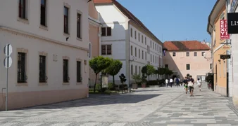 Otvorene prijave za projekte udruga: Grad Varaždin financira javne potrebe u 2026.