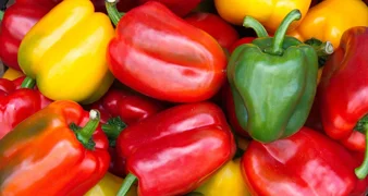 Raznih boja, oblika i okusa, mogu sadržavati i do četiri puta više vitamina C od naranče