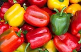 Raznih boja, oblika i okusa, mogu sadržavati i do četiri puta više vitamina C od naranče