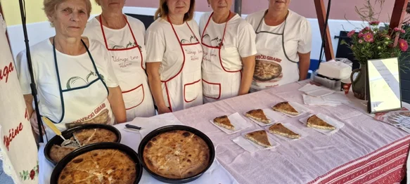 Objavljeni Javni pozivi za financiranje programa/projekata/aktivnosti i obljetnica udruga u 2026. godini