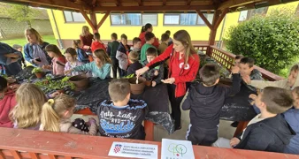 Uredili zelene kutke za učenje, druženje i povezivanje s prirodom