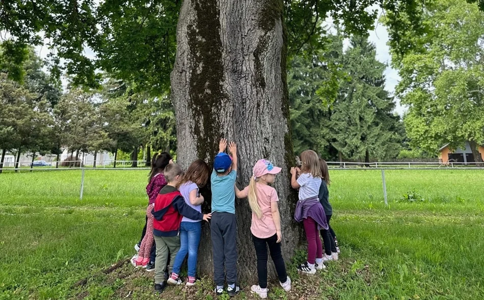„Ježeva kućica” za međunarodne projekte nagrađena nacionalnom oznakom kvalitete