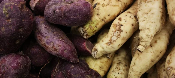 Visokoenergetska namirnica omiljena u ishrani dijabetičara