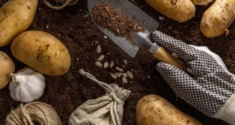 Vrt u rujnu: Kako sačuvati ljetne plodove i pripremiti tlo