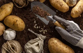 Vrt u rujnu: Kako sačuvati ljetne plodove i pripremiti tlo