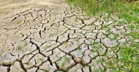 Proglašena prirodna nepogoda zbog suše na području još jednog grada
