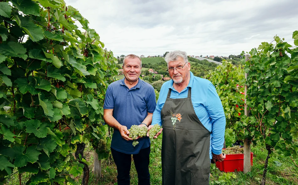Obitelj Najman domaćin sedme Županijske berbe grožđa