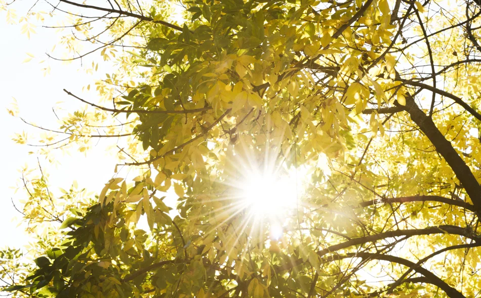 Za vikend uživajte u toplom i sunčanom vremenu