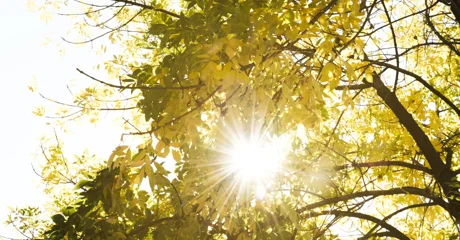 Vikend pred nama u znaku kasnoljetnih temperatura