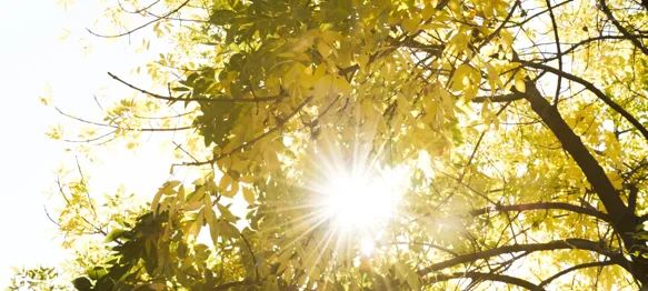 Za vikend uživajte u toplom i sunčanom vremenu