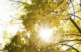 Za vikend uživajte u toplom i sunčanom vremenu