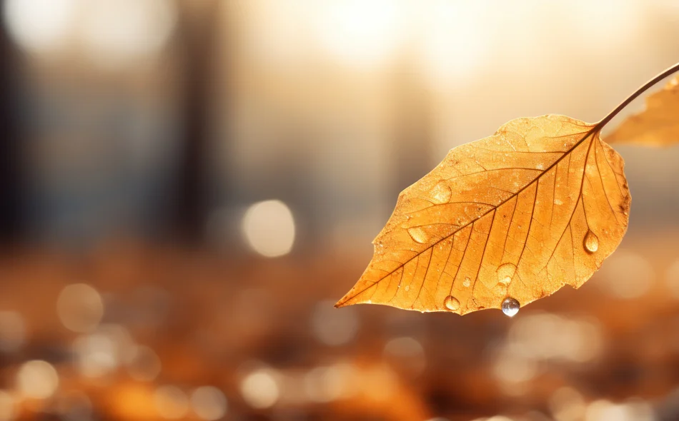 Ponedjeljak sunčan, ostatak tjedna kišovit