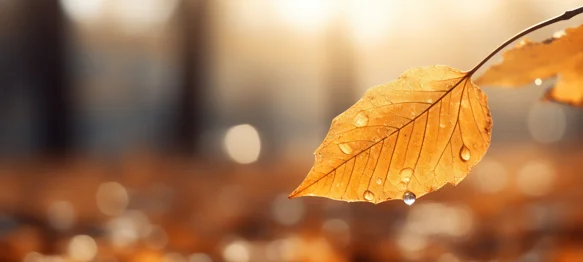 Ponedjeljak sunčan, ostatak tjedna kišovit