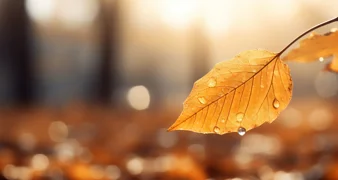 Ponedjeljak sunčan, ostatak tjedna kišovit